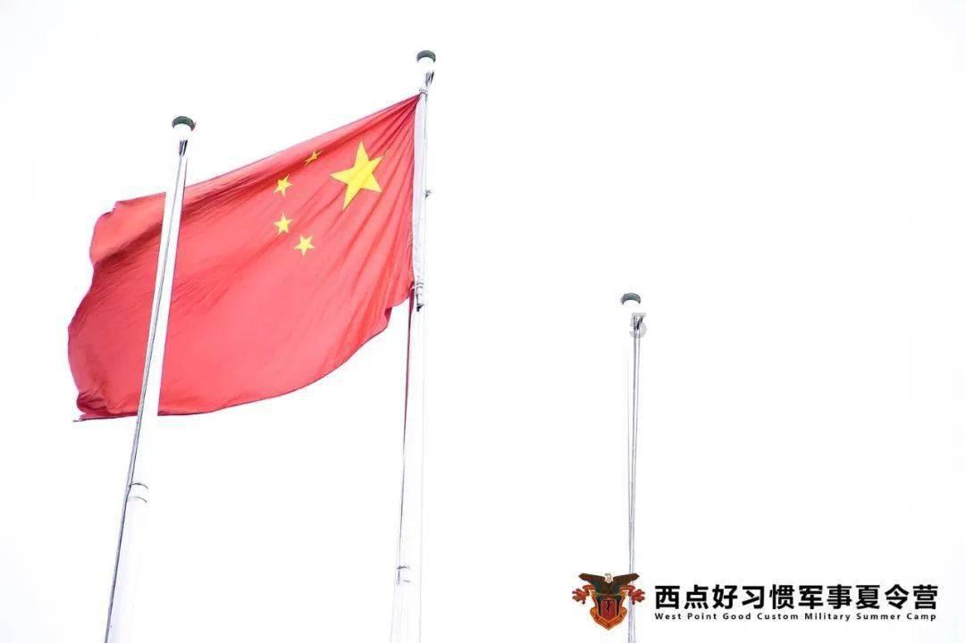 小僵尸射飞鸟